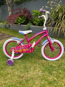 Polly 16 Inch Bike