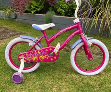 Polly 16 Inch Bike