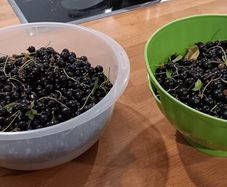Fresh blackcurrants price is per kilo
