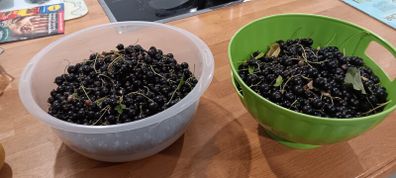 Fresh blackcurrants price is per kilo