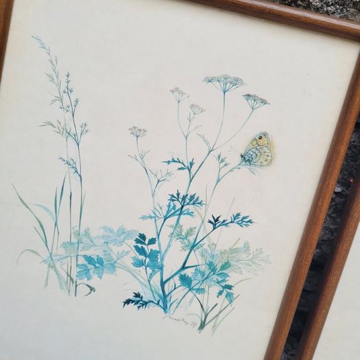 Vintage set of four botanical watercolour prints in oak frames