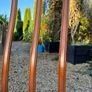 Mid Century Dining Chairs x 4 Image 6