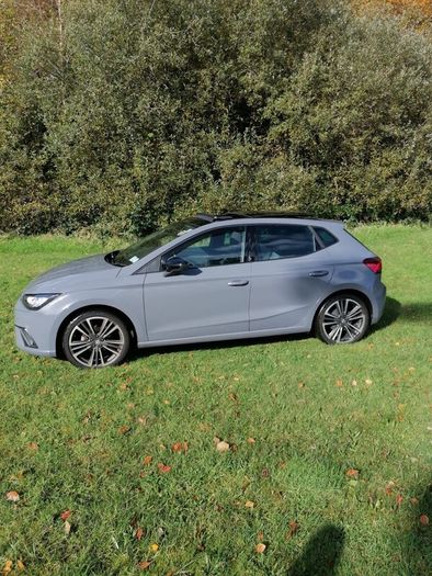 Seat Ibiza 2025