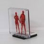 LEGO Rare The Art Of The Brick By Nathan Sawaya Lego Printed Museum Exhibit Limited Edition Promo Printed On A Lego Plastic Glass Window Old Image 4