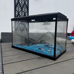 fish tank
