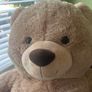 Teddy Bear Image 2