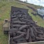 Car Trailer turf Image 3