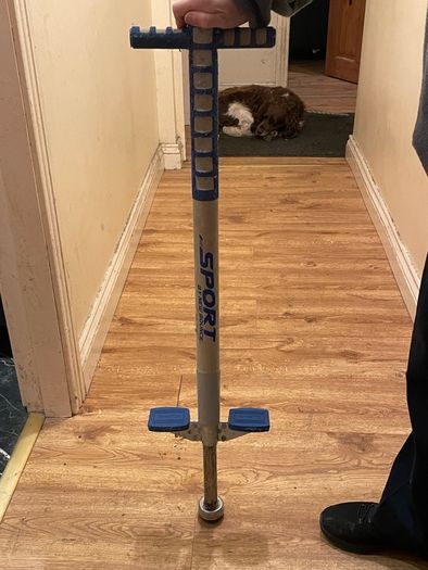 Pogo stick