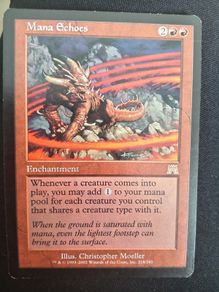 Magic the Gathering