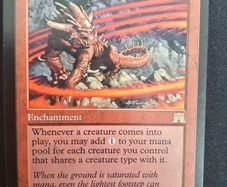 Magic the Gathering