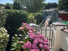 Gardening Image 4