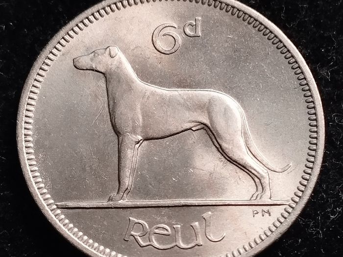 Ireland - 1961 - 6 Pence - Wolfhound - UNC - KM.13a - [2726]