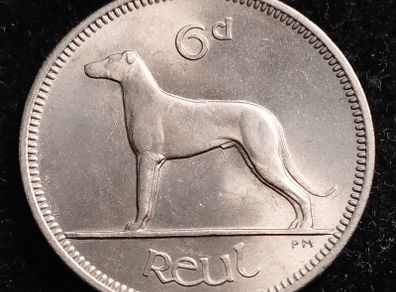 Ireland - 1961 - 6 Pence - Wolfhound - UNC - KM.13a - [2726]