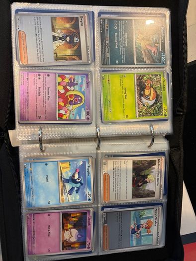 Pokemon TCG Card Collection (480 Cards)
