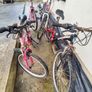 Four-bike bundle - two 24-inch Apollo and two 26-inch adult bikes Image 2