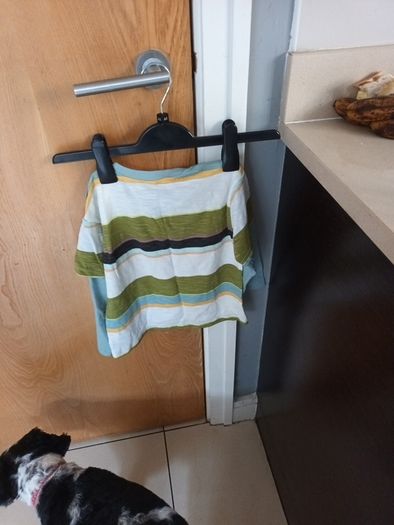 Leigh Tucker  Tops. Age .3-4 years x 2.   B.N.W.T