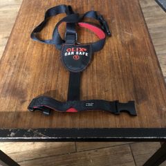 Dog car safe (Small )