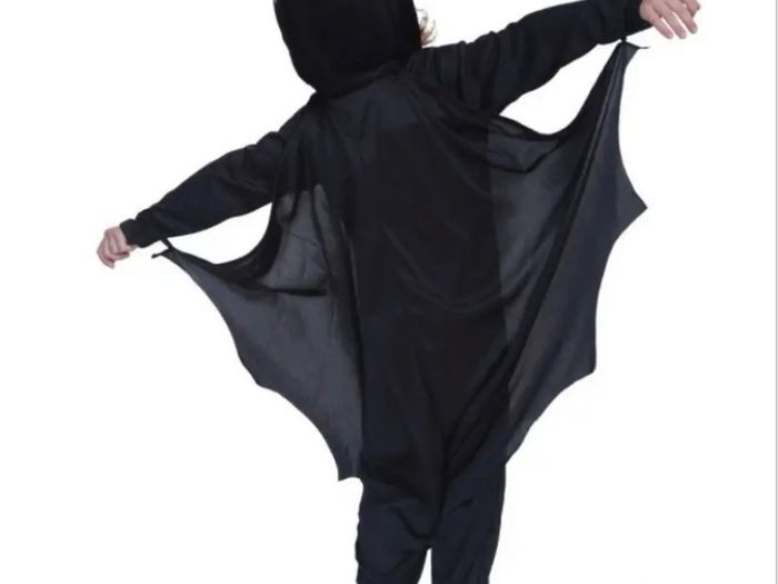 Bat Costume