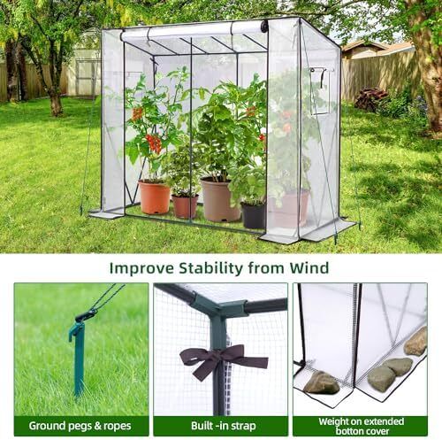 Greenhouse for Outdoors: Portable Green House Heavy Duty with Roll-Up Zippered Door PE Cover, Tall Plastic Greenhouses for Outside Winter Plants Shed for Backyard, White 200x77x170 cm