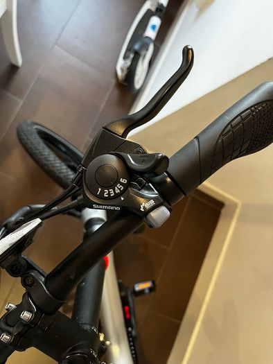 Falcon flo pedal assist folding e bike