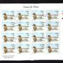 2004 Ireland Fauna and Flora (Native Ducks) Stamp Sheetlet Plate 1A1A1A1A Fine CDS Used with Dublin cancel of 11th May 2004 (Frist day of issued) on envelope extract. Image 5