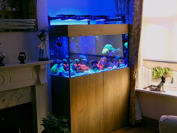 400 LItre Aquarium with sump