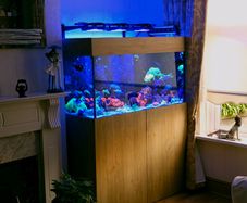 400 LItre Aquarium with sump