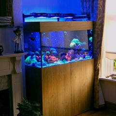 400 LItre Aquarium with sump