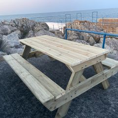 Picnic Bench