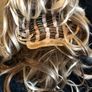 wigs Image 4