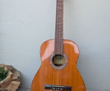 Guitar