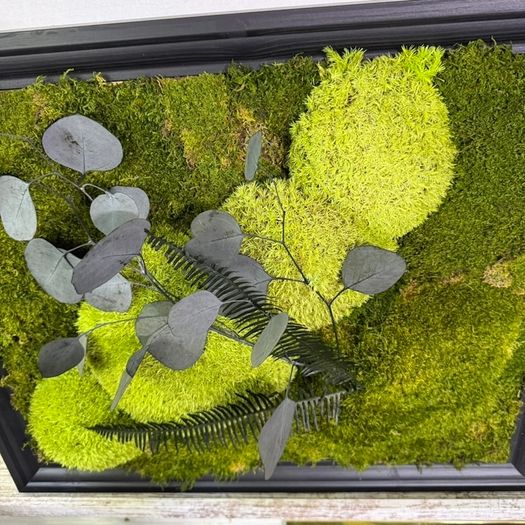 Classic Beauty 40x50cm - natural moss