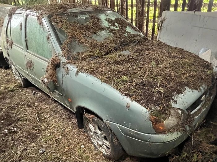 ford fiesta parts