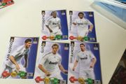 Panini Champions League Cards
