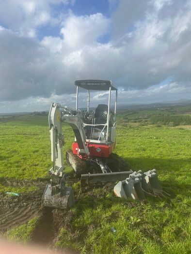 Takeuchi TB217 1.7T digger