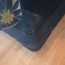 free 3 seater sofa couch Image 4