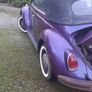 Vw beetle Image 4