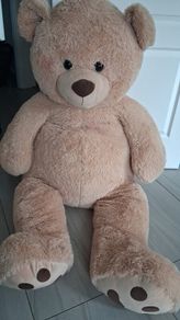teddy