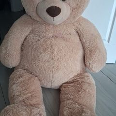 teddy