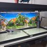 Fish tank Image 3