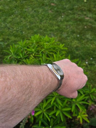 vintage Newton Watch