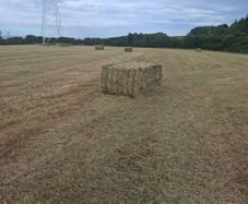 Large square bales of hay for sale