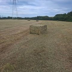 Large square bales of hay for sale