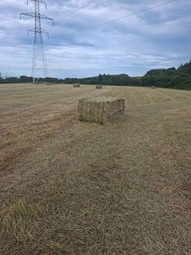 Large square bales of hay for sale