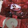 Bjork - Homogenic Deluxe Edition Cd Image 3