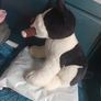 Rare vintage Russ boston terrier stuffed toy Image 2