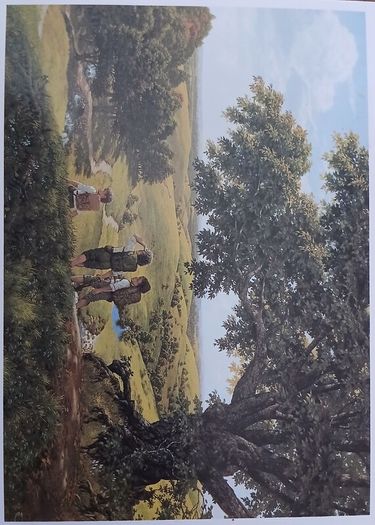 Very Rare Tolkien's Glory Lord of the Rings Postcards