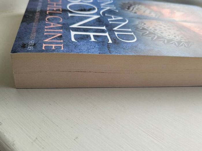 The great library series by Rachel Caine
