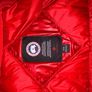 canada goose hybrid Image 4