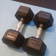 12.5kg dumbbells